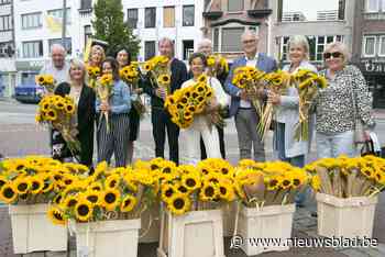 1302 zonnebloemen voor Moederdag