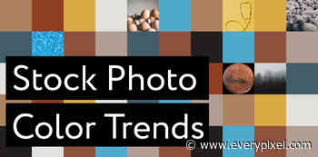 Color Trends: Top Popular Colors Used in Stock Photography