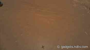 NASA Is Excited to See Perseverance in Ingenuity's Aerial Images. But Where Is It?