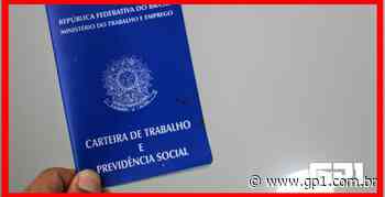 Prefeitura Municipal de Timon disponibiliza vagas de emprego - GP1