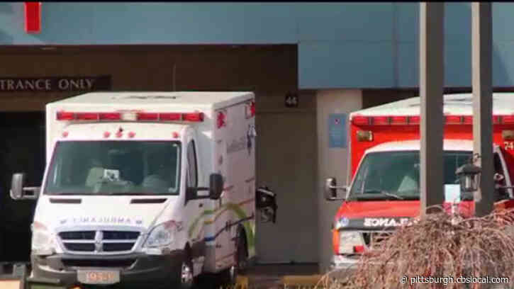 Strangers Come Together To Get Pizza For Nurses At Hospital In Mt. Lebanon