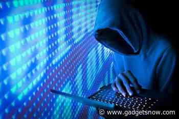Panel asks MHA to add cyber porn, stalking, blackmail offenders to national database