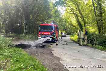 Jetski mogelijk gedumpt en in brand gestoken in Kauwendaalbos