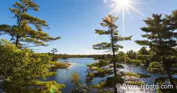 This breathtaking island is the ultimate camping destination two hours from Toronto - blogTO