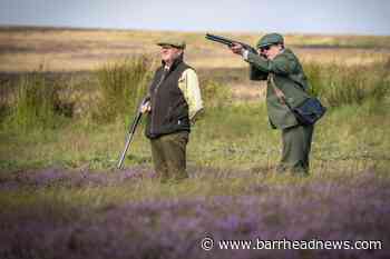 Grouse shooting underway on Glorious Twelfth as land management debate continues - Barrhead News