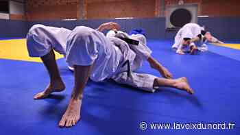 Judo : le JCB d'Arras vers un retour à la normale ? - La Voix du Nord
