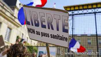 Alpes-Maritimes : à Nice, cinquième semaine de manifestation de suite contre le pass sanitaire - Franceinfo