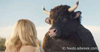 Meet the Credibull, a No-Nonsense Ad Mascot for Loan-Comparison Site Credible