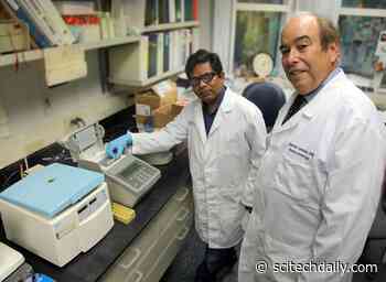 A Diet Lacking in Tryptophan Alters Gut Microbiota, Increases Inflammation