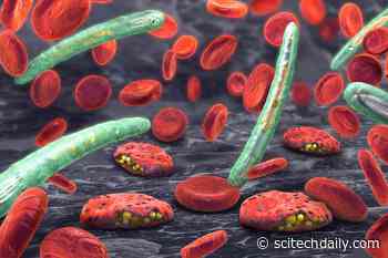 Biological Engineers Find a New Target for Malaria Drugs – Could Kill Drug-Resistant Parasites