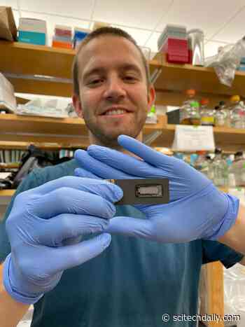 New DNA Technology Based on CRISPR Could Revolutionize Medical Diagnostics