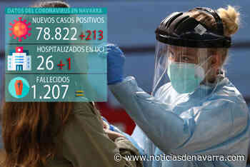 Coronavirus en Navarra, última hora | Se ralentiza el descenso de positivos: 213 el viernes, 27 en Tudela - Noticias de Navarra