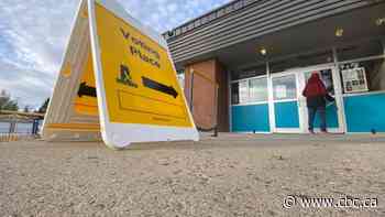 Modernizing voting process, shift to 'voting week' among proposals in Elections Sask. report