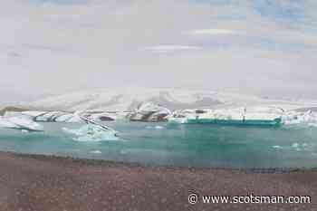 Art reviews: Frances Walker | Bill Scott | Will Maclean & Shaun Fraser | Leon Morocco - The Scotsman