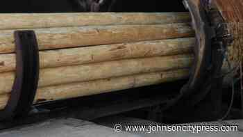 Baldwin Pole & Piling Company to Begin UltraPole NXT Production - Johnson City Press (subscription)