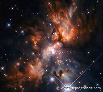 Hubble captures a dusty nursery where new baby stars are being born