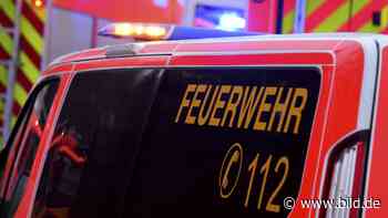 Neusäß bei Augsburg - Polizei jagt Hecken-Brandstifter - BILD