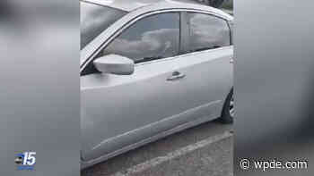 Man shows up to Dillon County jail for help after being shot at, sheriff says - wpde.com