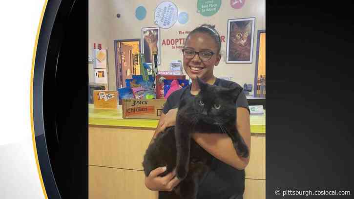Local Girl Uses Lemonade Stand Money To Donate To Animal Friends