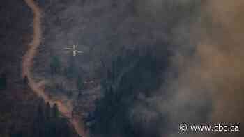 Monte Lake residents to view fire devastation first-hand as wildfires continue to rage in B.C.