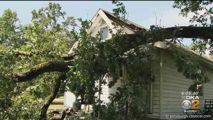 Butler County Man Escapes Through Basement After Trees Crash Through Home