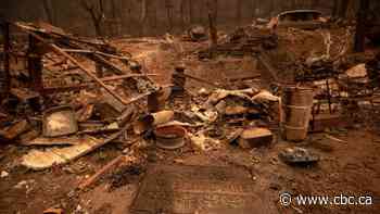 Monte Lake residents view fire devastation first-hand as wildfires continue to rage in B.C.