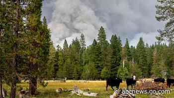 Global sizzling: July was hottest month on record, NOAA says