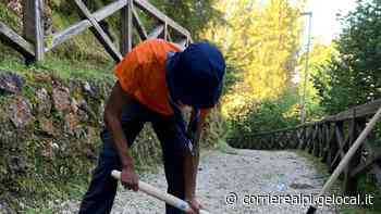 Strade tirate a lustro dai giovani scout del gruppo di Oderzo - Corriere Delle Alpi