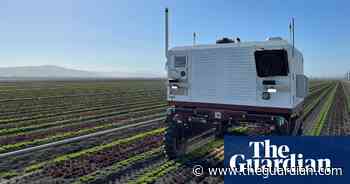 ‘Ten years ago this was science fiction’: the rise of weedkilling robots