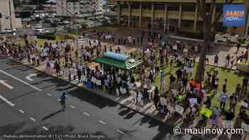 Maui Demonstration Seeking Medical Freedom Attracts Hundreds for 2nd Time This Week - Maui Now