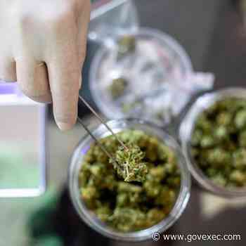Veterans Push for Medical Marijuana in Conservative South - GovExec.com