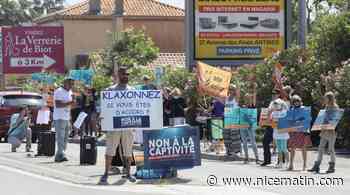 "15 août, c’est le jour d’affluence à Marineland": les anti-captivité militent devant le parc d’Antibes