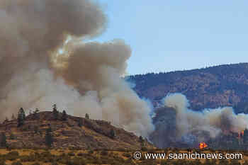 Update: Inkaneep Creek fire near Osoyoos growing, evacuation order issued for band land – Saanich News - Saanich News