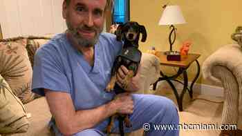 Preparing Pets for Hurricane Season