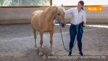 Eine Trainerin erzählt: Was Chefs und Kleinkinder von Pferden lernen können