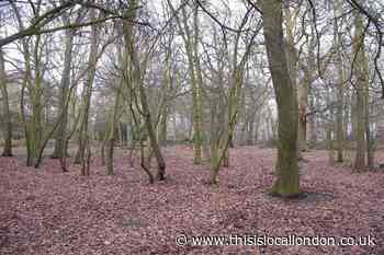 Police probe after man 'exposes himself' in Oxleas Woods