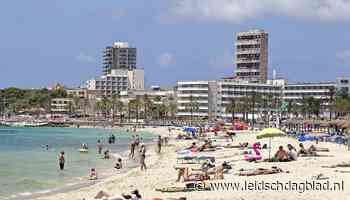 Jongens door het lint op Mallorca. Hun stapavond werd Carlo fataal | Reconstructie - Leidsch Dagblad