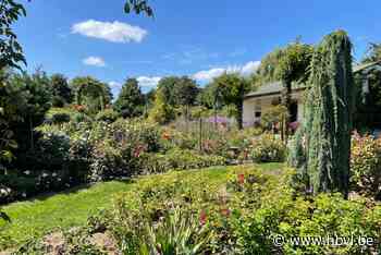 Mooie tuinen - Het Belang van Limburg