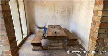 Vandalismus auf Grundschulgelände - Steinfeld - DIE RHEINPFALZ - Rheinpfalz.de