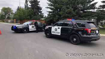 Suspect arrested, released without charge, in hit-and-run that left Calgary cyclist severely injured - CTV Toronto