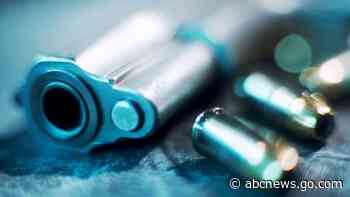 3-year-old girl fatally shot by 5-year-old