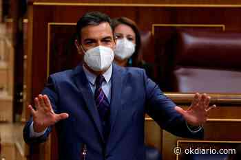 Sánchez y los ministros han cobrado 131.743 € en dietas del Congreso pese a la crisis pandémica - Okdiario