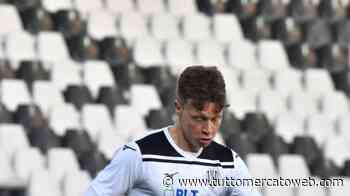 LIVE TMW - Serie C, le ufficialità di oggi: Ancona-Matelica, dalla Samp arriva Farabegoli - TUTTO mercato WEB