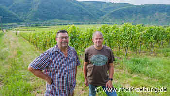 Bauen an der Mosel: Mesenicher kämpfen - Rhein-Zeitung