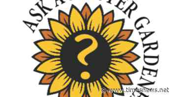 Ask a Master Gardener: Why aren't my roses blooming? - Kingsport Times News