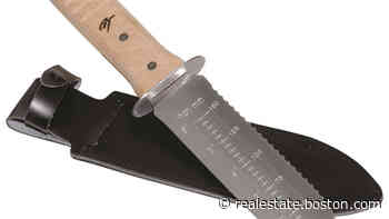 Ask the Gardener: Battling cucumber beetles & cleaning birdbaths - Boston.com