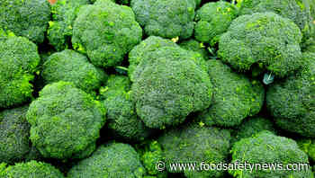 Dozens of broccoli products recalled because of Listeria risk - Food Safety News
