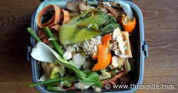 USDA explores solutions for food waste in the US and abroad - The Pig Site