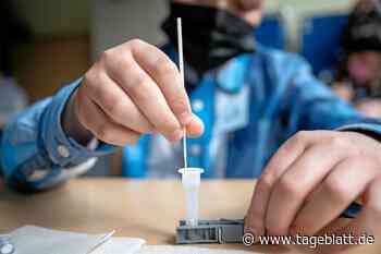 Niedersachsens Ministerpräsident kündigt „tägliche Testung“ zum Schulstart an - Landkreis Stade - Stader Tageblatt - Tageblatt-online