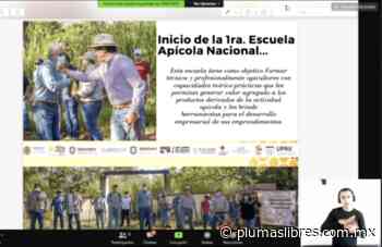 Aprueba Cabildo de Xalapa convenio para establecer Escuela Apícola Nacional - plumas libres
